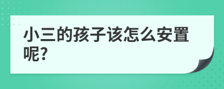 小三的孩子该怎么安置呢?