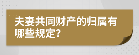 夫妻共同财产的归属有哪些规定？