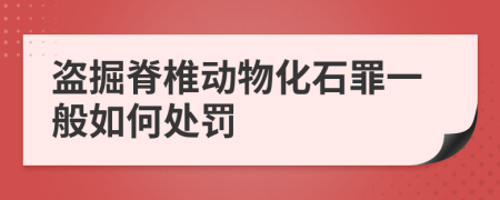 盗掘脊椎动物化石罪一般如何处罚
