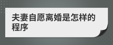 夫妻自愿离婚是怎样的程序