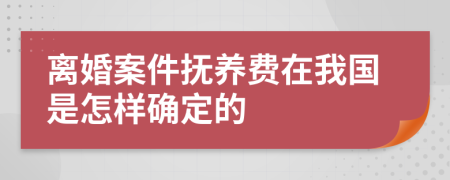 离婚案件抚养费在我国是怎样确定的