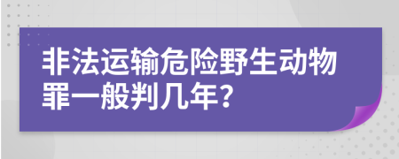 非法运输危险野生动物罪一般判几年？