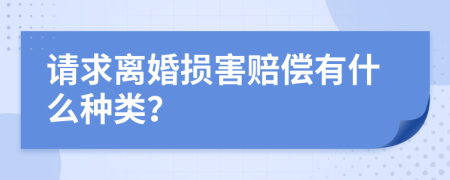 请求离婚损害赔偿有什么种类？