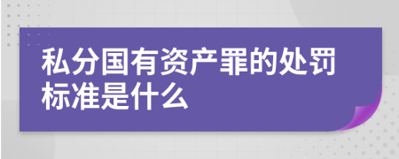 私分国有资产罪的处罚标准是什么