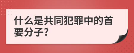 什么是共同犯罪中的首要分子?