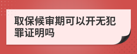 取保候审期可以开无犯罪证明吗