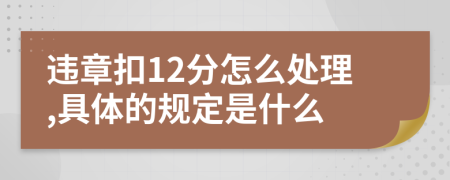 违章扣12分怎么处理,具体的规定是什么