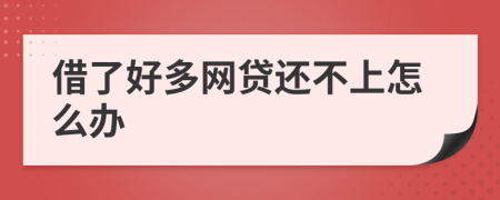 借了好多网贷还不上怎么办