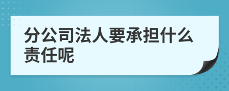 分公司法人要承担什么责任呢