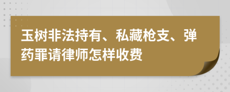 玉树非法持有、私藏枪支、弹药罪请律师怎样收费