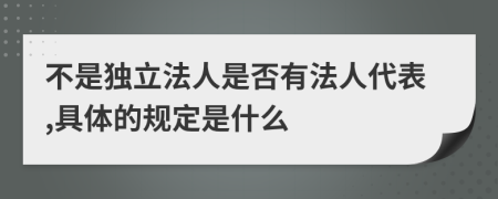 不是独立法人是否有法人代表,具体的规定是什么