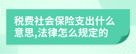 税费社会保险支出什么意思,法律怎么规定的