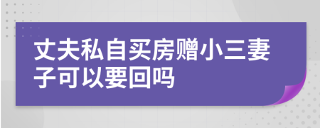 丈夫私自买房赠小三妻子可以要回吗