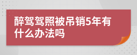 醉驾驾照被吊销5年有什么办法吗