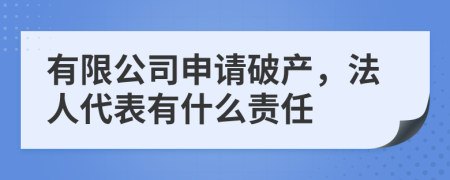 有限公司申请破产，法人代表有什么责任