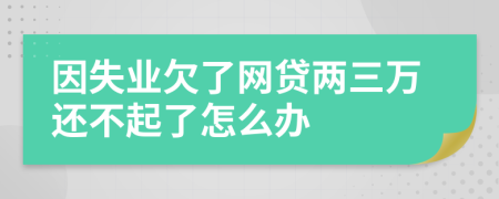 因失业欠了网贷两三万还不起了怎么办