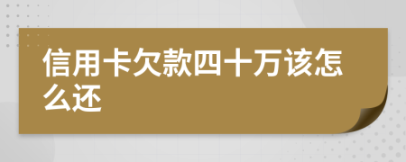 信用卡欠款四十万该怎么还