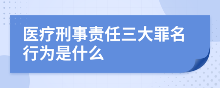 医疗刑事责任三大罪名行为是什么