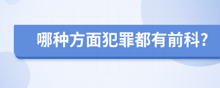 哪种方面犯罪都有前科?