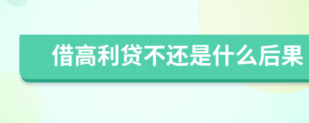 借高利贷不还是什么后果