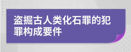 盗掘古人类化石罪的犯罪构成要件