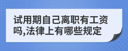 试用期自己离职有工资吗,法律上有哪些规定