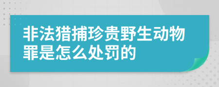 非法猎捕珍贵野生动物罪是怎么处罚的