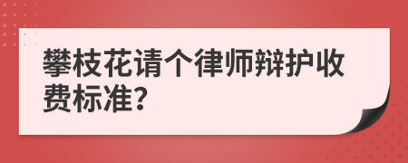 攀枝花请个律师辩护收费标准？