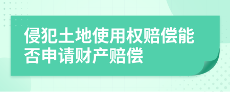 侵犯土地使用权赔偿能否申请财产赔偿