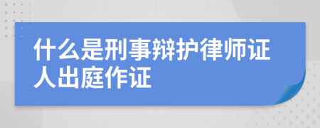 什么是刑事辩护律师证人出庭作证