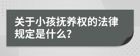 关于小孩抚养权的法律规定是什么？