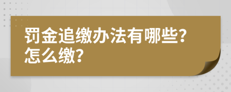 罚金追缴办法有哪些？怎么缴？