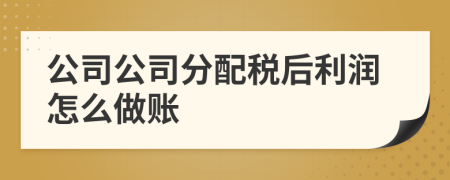 公司公司分配税后利润怎么做账