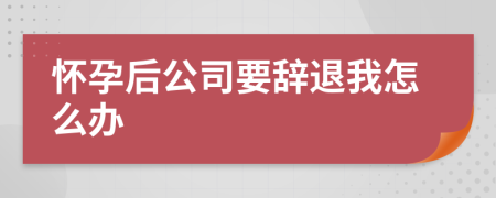 怀孕后公司要辞退我怎么办