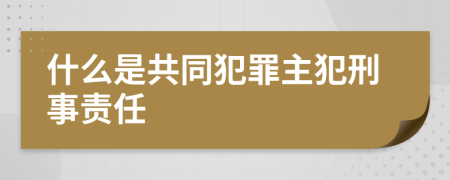 什么是共同犯罪主犯刑事责任