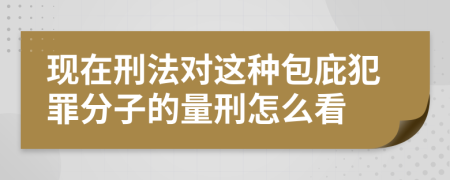 现在刑法对这种包庇犯罪分子的量刑怎么看