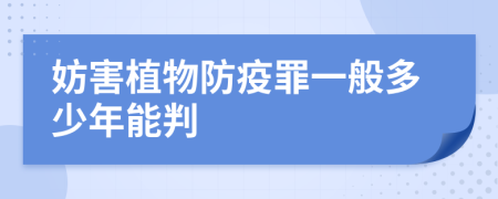 妨害植物防疫罪一般多少年能判