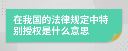 在我国的法律规定中特别授权是什么意思