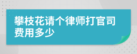 攀枝花请个律师打官司费用多少