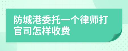 防城港委托一个律师打官司怎样收费