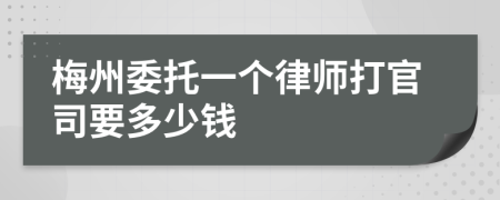 梅州委托一个律师打官司要多少钱