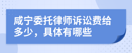 咸宁委托律师诉讼费给多少，具体有哪些