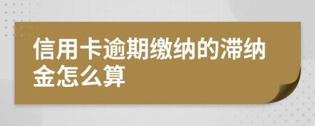 信用卡逾期缴纳的滞纳金怎么算