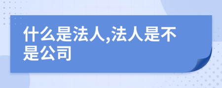 什么是法人,法人是不是公司