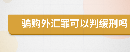 骗购外汇罪可以判缓刑吗