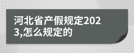 河北省产假规定2023,怎么规定的