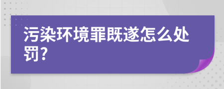 污染环境罪既遂怎么处罚?