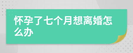 怀孕了七个月想离婚怎么办