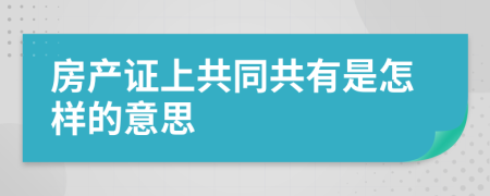 房产证上共同共有是怎样的意思