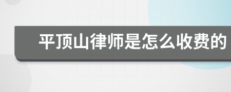 平顶山律师是怎么收费的